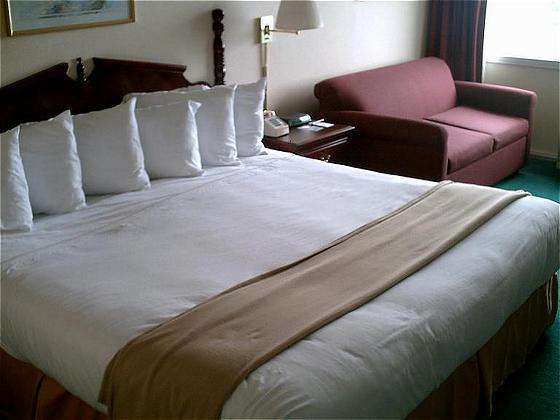Econo Lodge Inn & Suites Triadelphia - Wheeling Rom bilde
